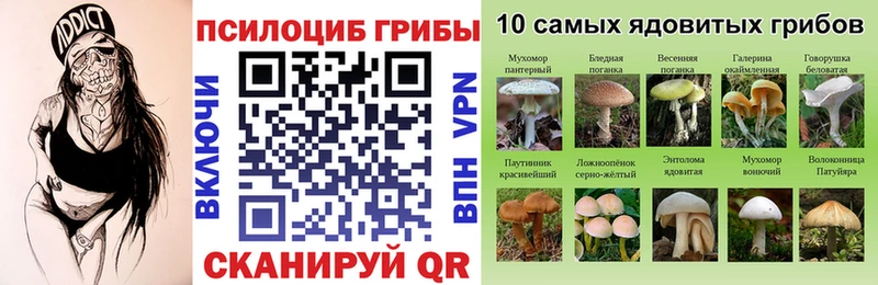 Псилоцибиновые грибы GOLDEN TEACHER  Обь 